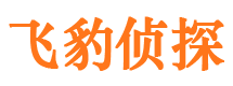 灵寿市调查公司